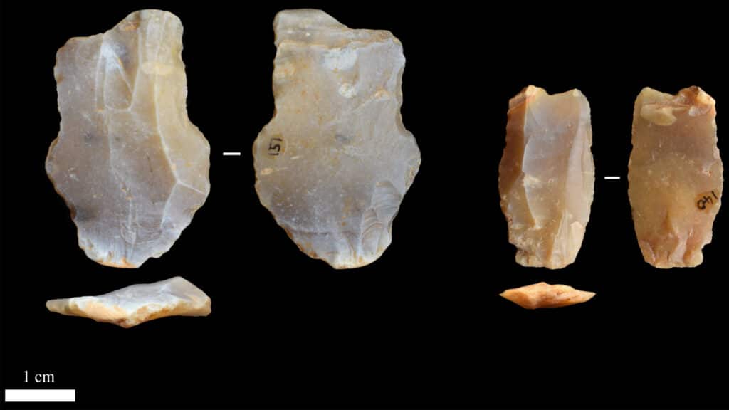 Эти находки сделаны в слое, возраст которого 542 тысячи лет / ©Alastair Key et al.