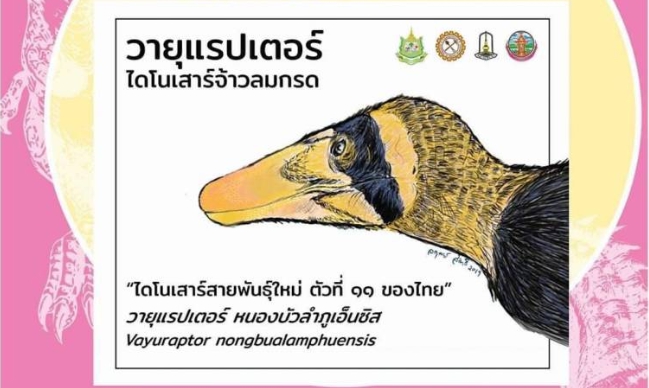 Предположительный вид Vayuraptor nongbualamphuensis 