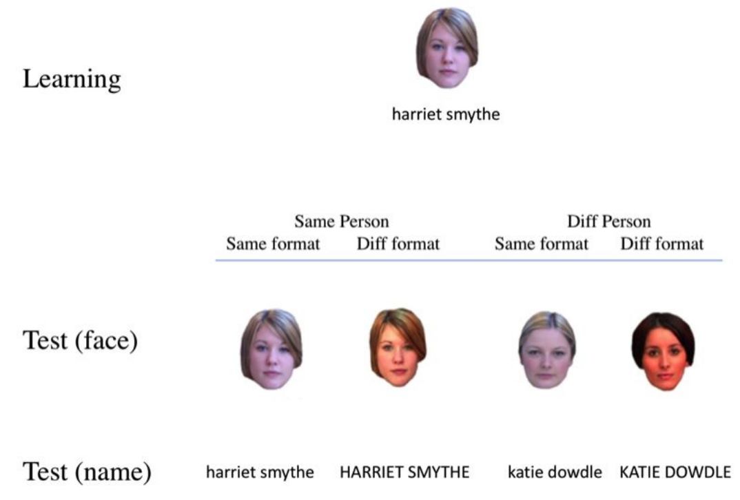 Психологи опровергли стереотип о хорошей памяти на лица, но плохой на имена