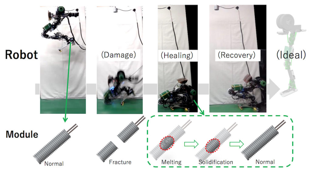 На бросковых испытаниях роботизированная нога ломалась точно в месте «механического предохранителя», защищавшего остальные части системы от перегрузок, после чего разрыв автоматически восстанавливался / ©University of Tokyo, JSK Lab