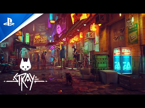 Трейлер игры Stray / Youtube — PlayStation