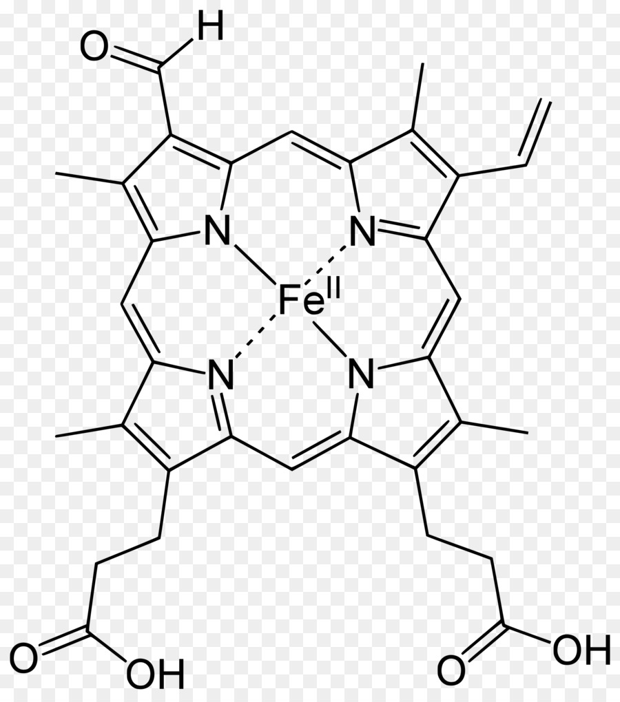 Химическая структура порфиринового ядра молекулы гемоглобина / © Chemed