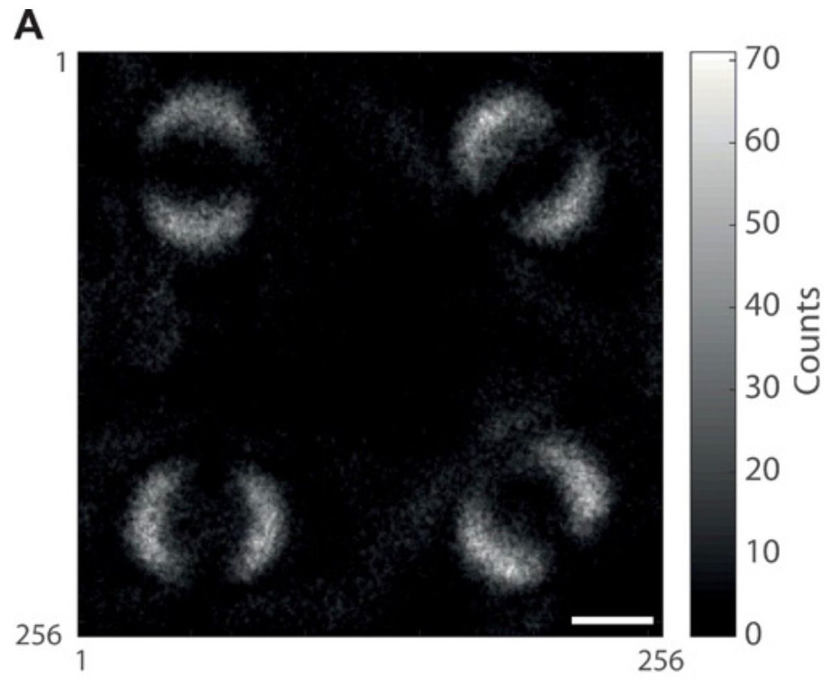 Опубликован первый в истории снимок квантовой запутанности