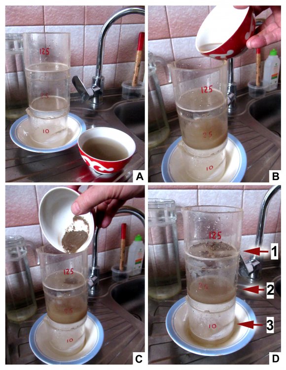 Основные этапы применения методики трех фильтров: A ― подготовка установки из трех последовательных фильтров; B ― суспензия с мацератом заливается в установку; C ― проходит процесс фильтрации; D ― процесс фильтрации завершен.Фото С.В. Наугольных