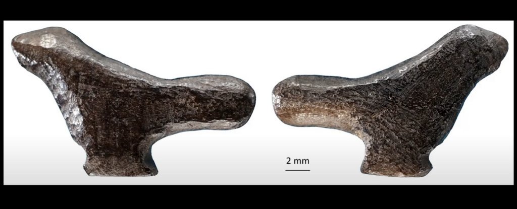 13 300-летняя фигурка птицы найдена в Китае