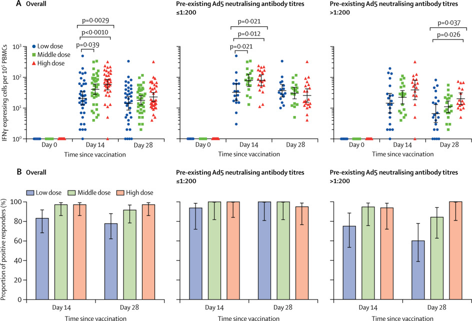 (A) Количество специфических Т-клеток, секретирующих γ-интерферон на 0, 14 и 28 дни после вакцинации у всех участников титрам нейтрализующих антител Ad5. (B) Доля положительных ответов в ELISpot-тестах на наличие антител на 14 и 28 дни после вакцинации. / © Zhu, Li et al., The Lancet, 2020
