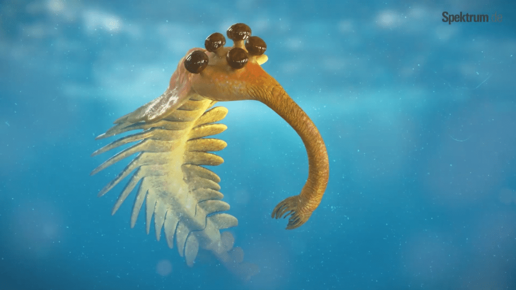 Opabinia regalis, которая теперь имеет родственника / © Spektrum der Wissenschaft