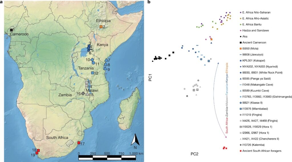 На карте указано, из каких частей Африки брали образцы ДНК / ©Mark Lipson et al.