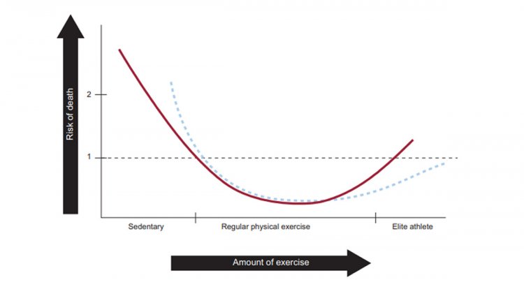 Связь между количеством физических упражнений и риском смерти при сидячем образе жизни, нагрузках умеренной интенсивности и нагрузках элитных спортсменов.Источник: Physical Exercise and Health Alberto, A. Cordero et al. / Rev Esp Cardiol. 2014; 67(9):748–753. DOI: https://doi.org/10.1016/j.rec.2014.04.005
