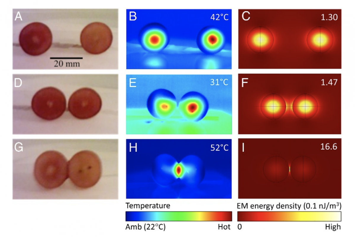 Физики выяснили, как вспыхивает виноград в микроволновке