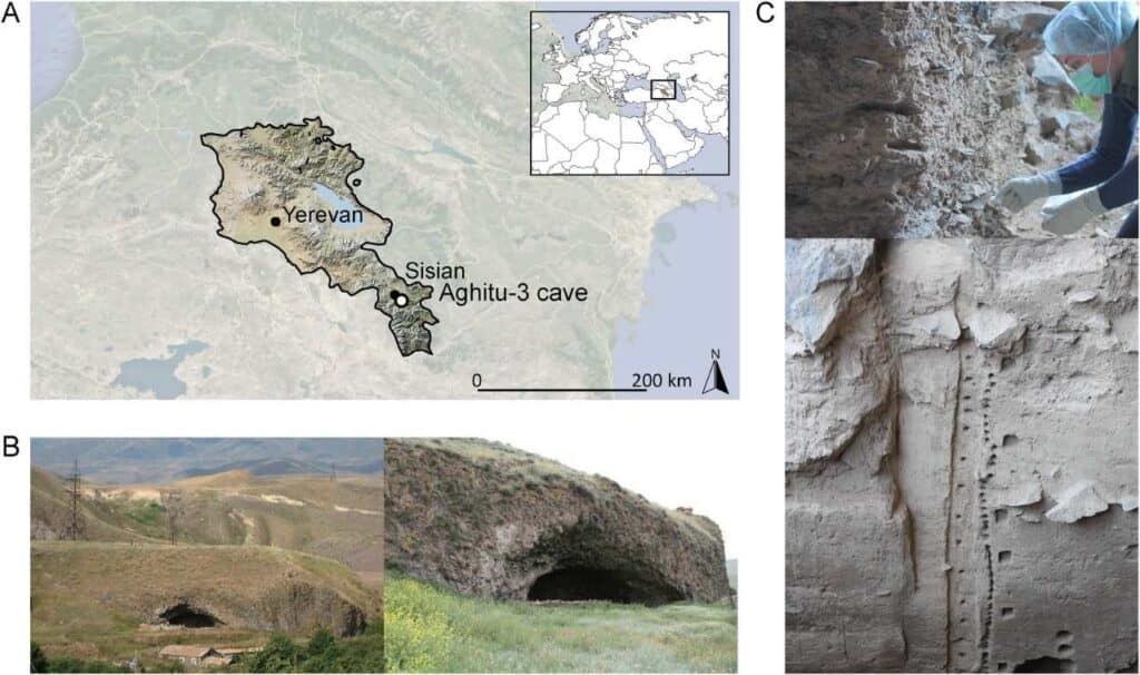 Агиту-3 / ©Anneke T.M. ter Schure et al.