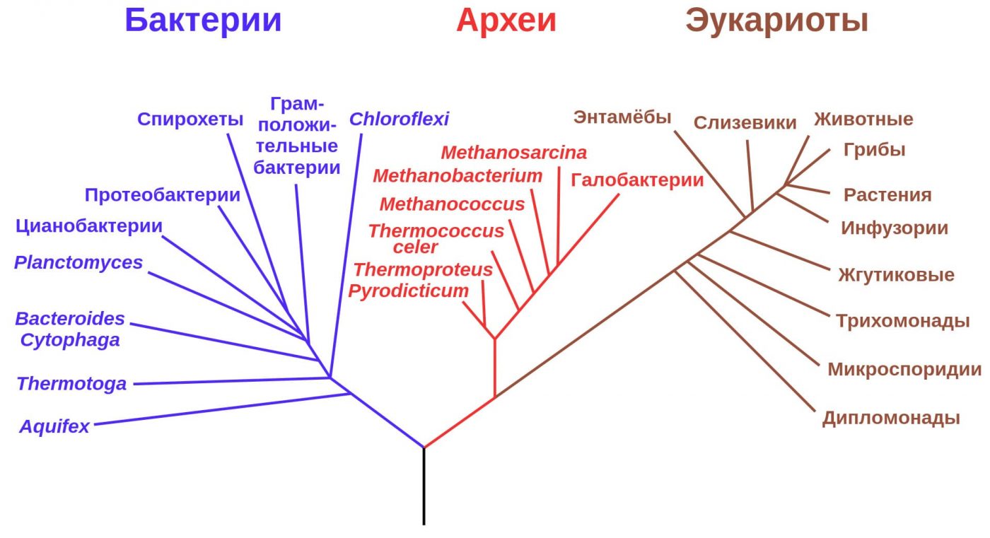 Данные, которые подскажут нам, как искать жизнь во Вселенной