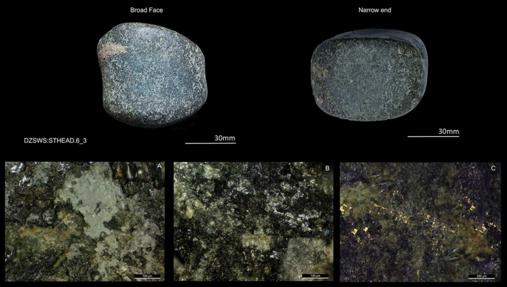 Микроскопический анализ находок / ©Rachel J. Crellin et al.