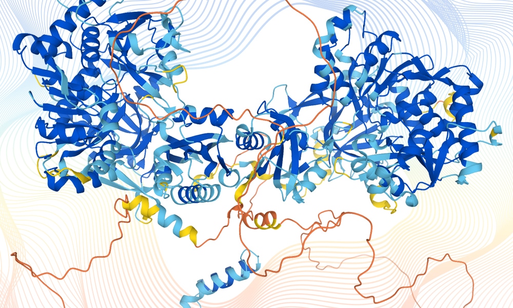 Визуализация работы «сворачивательного» алгоритма AlphaFold / © Karen Arnott/EMBL-EBI