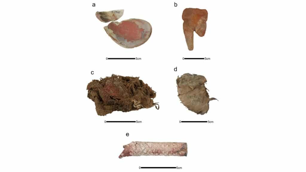 Материалы и скелетные останки с красным пигментом / ©Jacob Bongers, Boston University