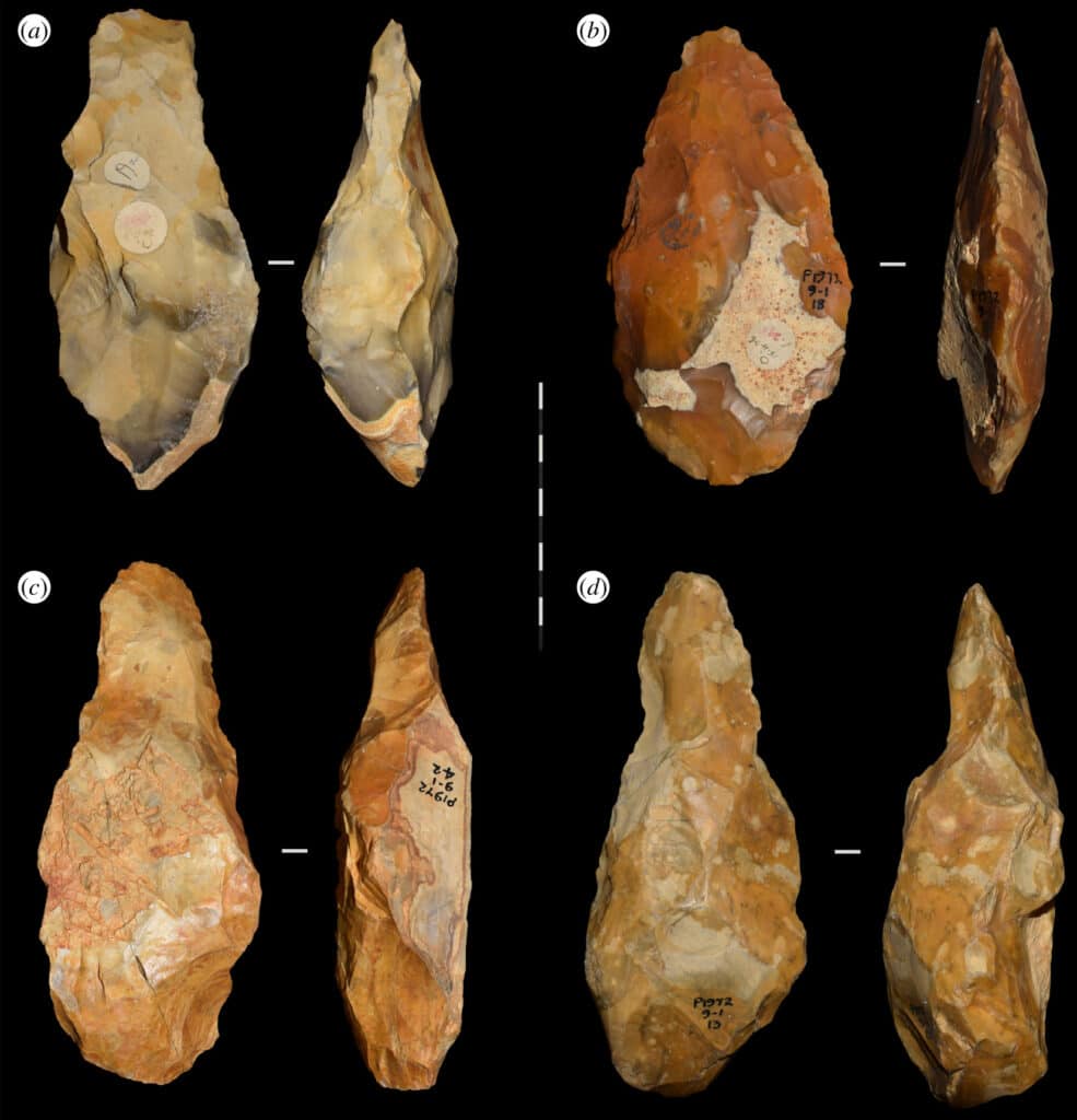 Ашельские рубила, найденные в Британии сто лет назад / ©Alastair Key et al.