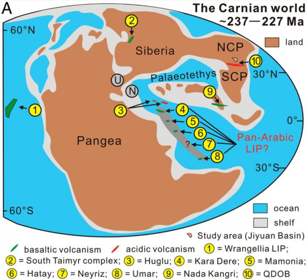 Мир эпохи Карнийского плювиального события, цифрой 1 помечена Врангеллия / ©Jing Lu et al.