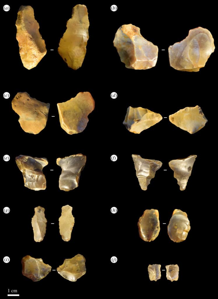 Кремневые инструменты, ставшие предметом исследования / ©Alastair Key et al.