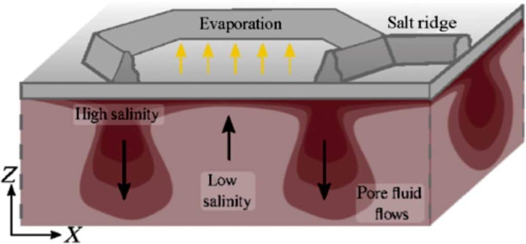 ©Lasser et al., 2023