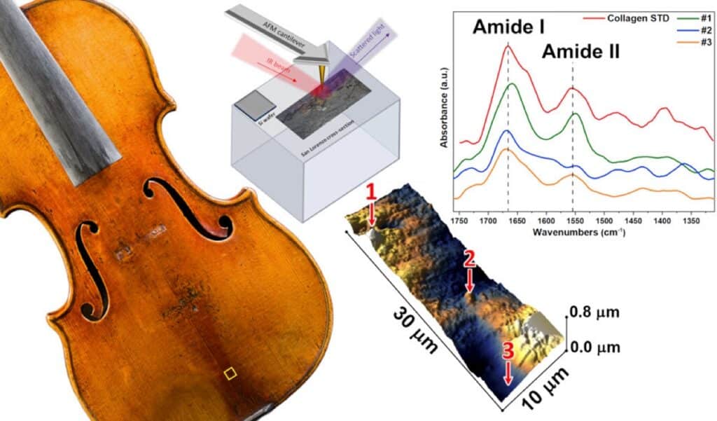 ©Chiaramaria StaniChiaramaria et al., 2022