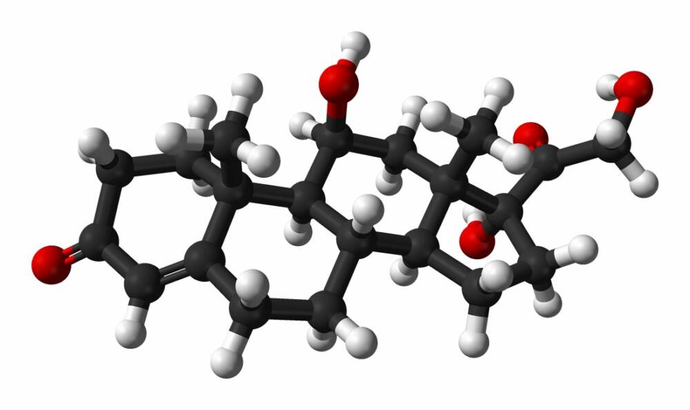 Пространственная структура молекулы кортизола / MedicalXpress