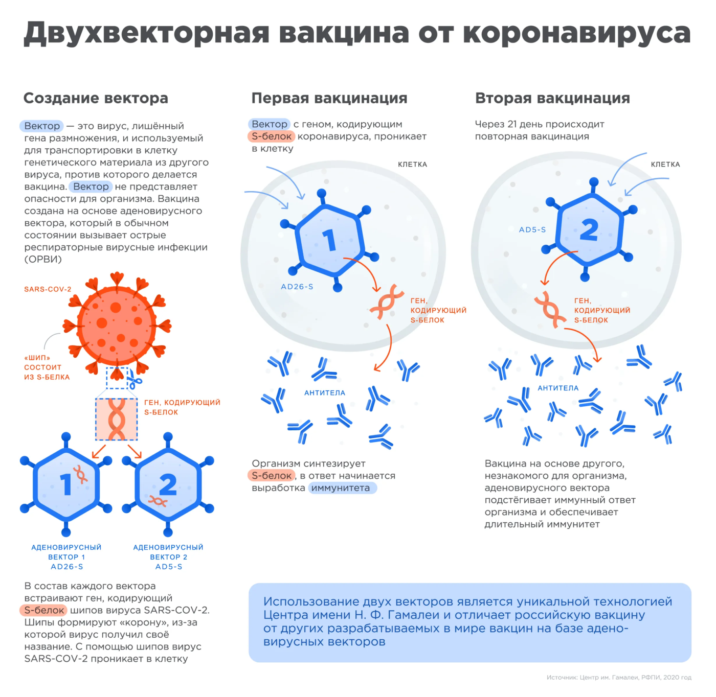 Covid-19: обнадеживающие предварительные результаты для российской вакцины