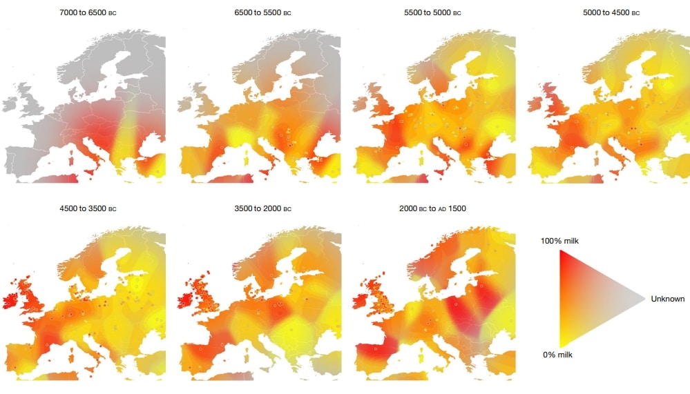 Региональные различия потребления молока в доисторической Европе / ©Richard P. Evershed et al.
