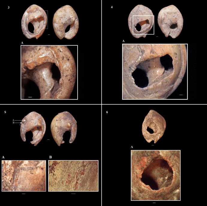 Бусины из раковин / ©El Mehdi Sehasseh et al.