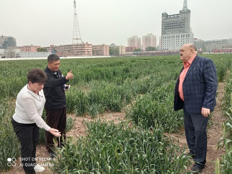 Российская делегация в Китае, научное поле Китайской академии сельскохозяйственных наук