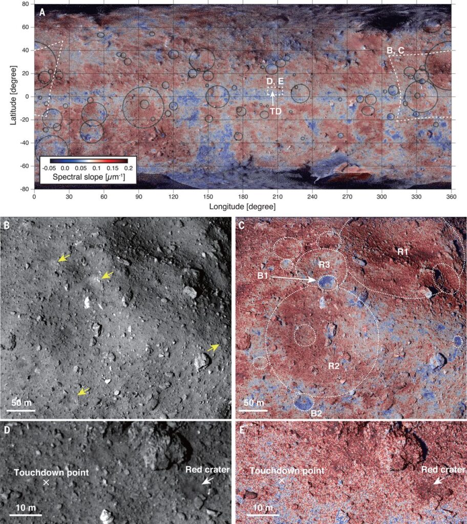 Спектральный наклон поверхности Рюгу. Кратеры диаметром более 20 метров показаны черными кружками. Пунктирные белые линии указывают области, показанные на других снимках. Синие кратеры B1 и B2 выше по стратиграфии, чем красные кратеры R1, R2 и R3. Не существует синего кратера, стратиграфически наложенного на красные, что говорит о том, что синие кратеры моложе, чем красные / © Science