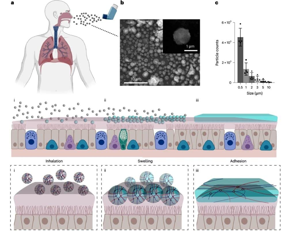 ©Xuan Mei et al., 2023