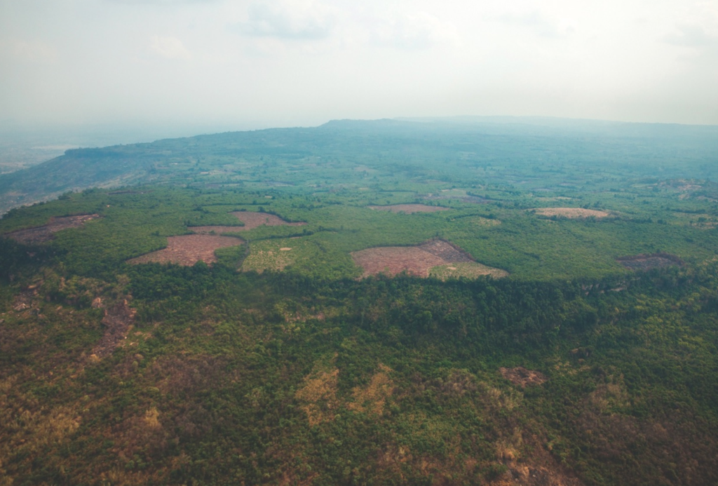 Местность, где была расположена древняя столица. / © Archaeology Development Foundation 