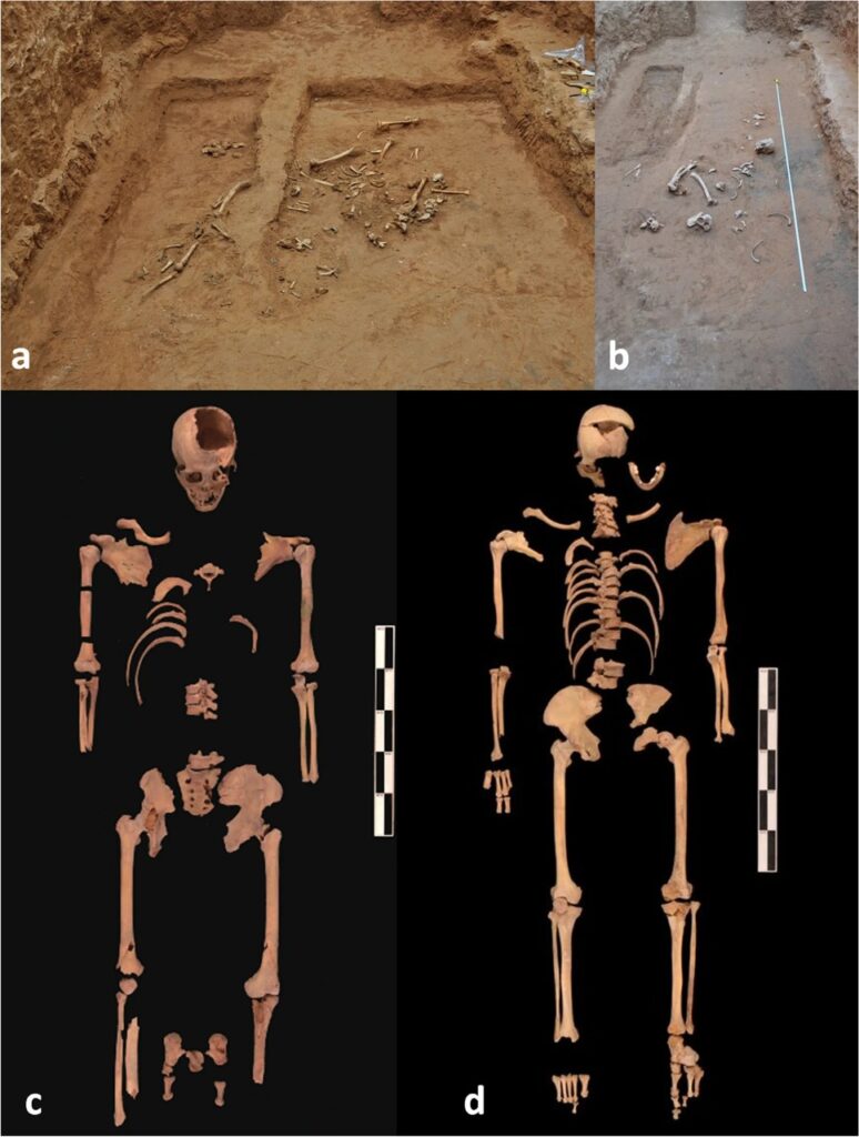 Скелет и место, где его нашли / ©Zining Zou et al.