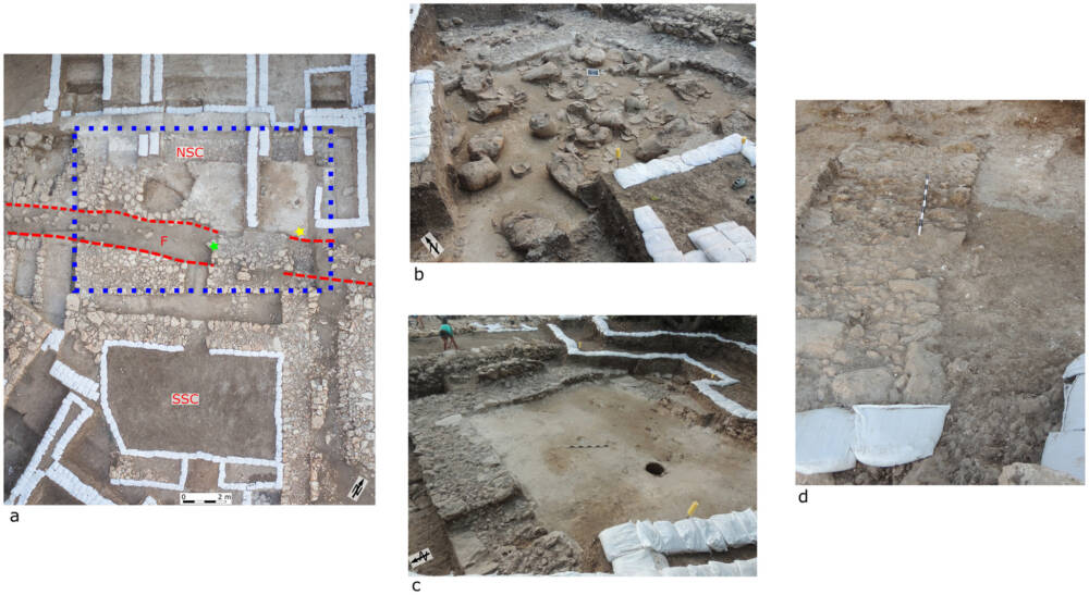 Винный погреб дворца / ©journals.plos.org 