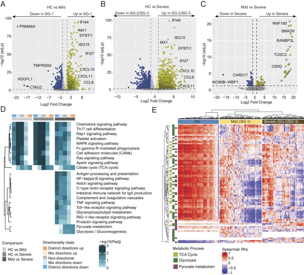 Специфичные изменения для степени тяжести инфекции, © PNAS