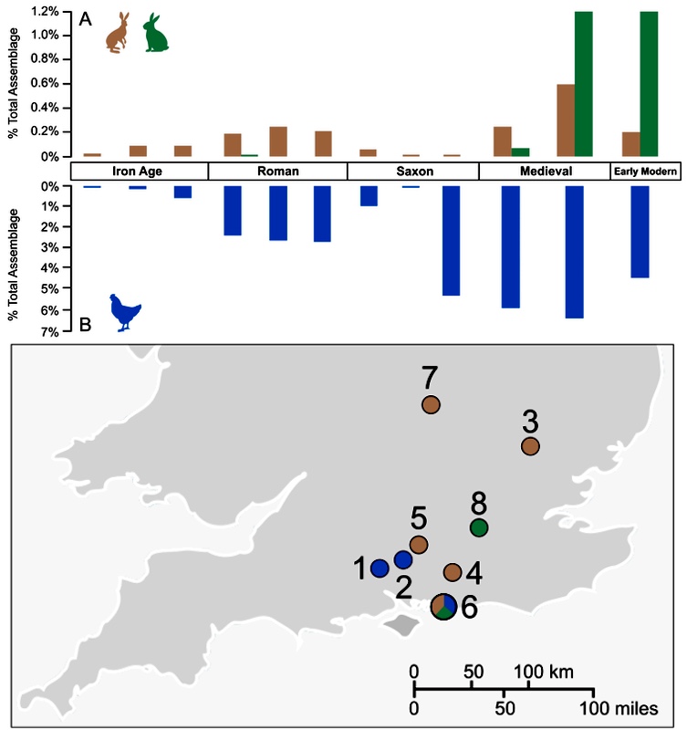 Количество останков куриц, зайцев и кроликов, датированных разными периодами, и места обнаружения древних захоронений / ©Naomi Sykes, AHRC