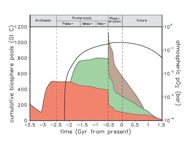 Красным на графике показаны прокариоты, зеленым — одноклеточные эукариоты, серым — многоклеточные. Легко видеть, что 0,49-0,43 миллиарда лет тому назад (зона чуть правее – 0,5 миллиарда лет на графике) показывает уменьшение общей биомассы, несмотря на рост числа видов. Это естественное следствие снижения температур: общая биомасса более прохладного мира стала ниже, чем была в более теплые времена кембрия / © S. Franck et al.