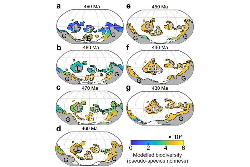 Биоразнообразие по периодам, смоделированное в новой работе / © Daniel Ontiveros et al.