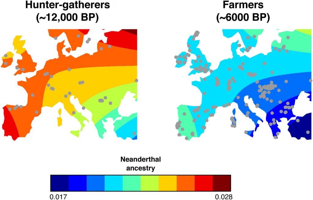 На схеме видно, как миграции земледельцев с Ближнего Востока в Европу «вымывали» неандертальские гены / © Claudio Quilodrán et al.