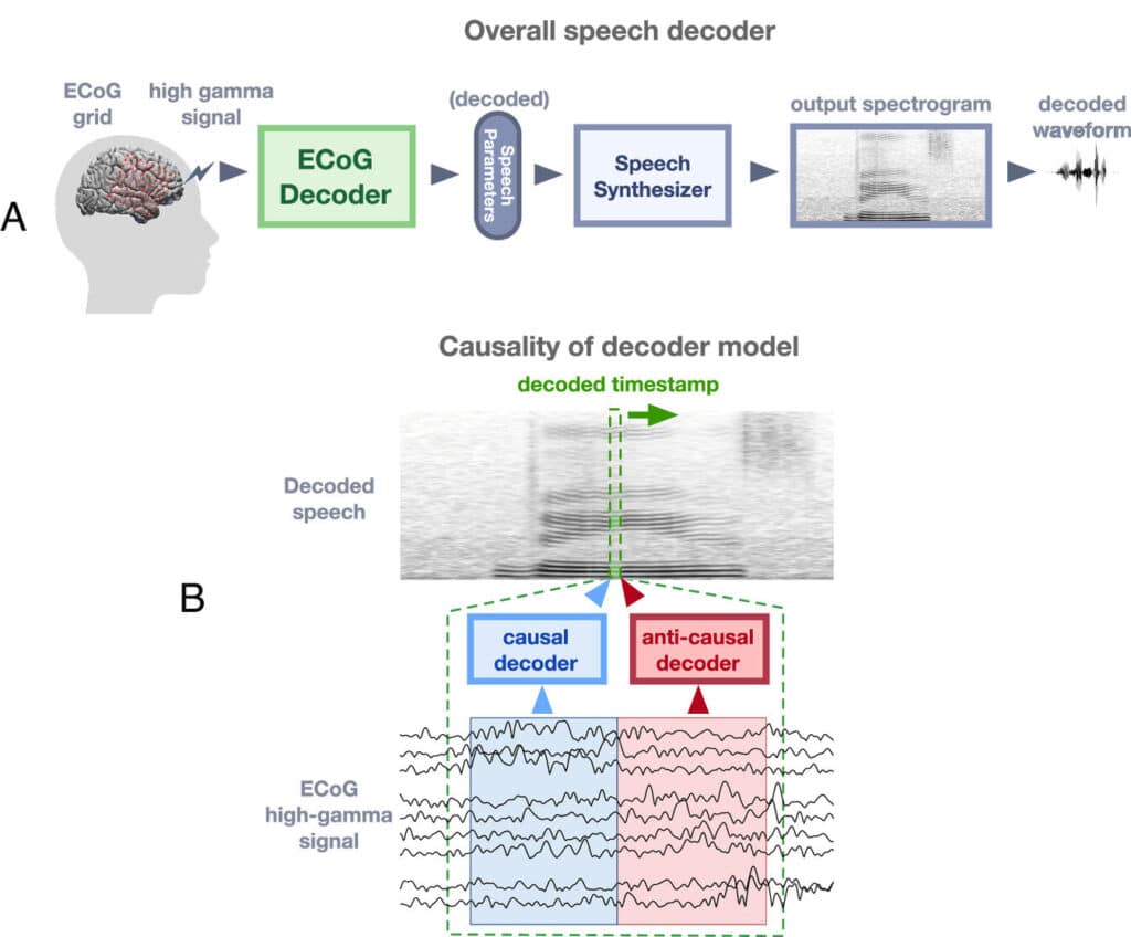 Система декодирования речи / © Wang R., et al., Proceedings of the National Academy of Sciences (2023)