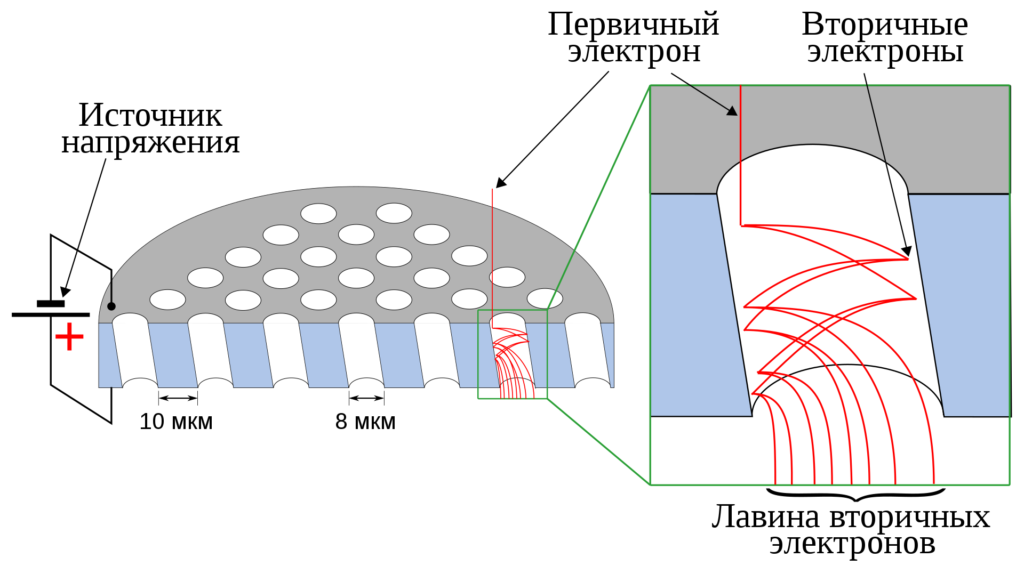 Схема умножения электронов в МКП / © Д.Ильин