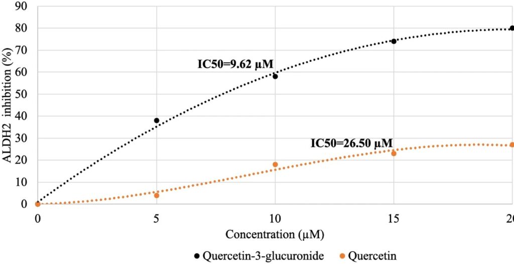 Связывание альдегиддегидрогеназы при различных концентрациях кверцетин-3-глюкуронида и кверцетина / © Devi, A., Levin, M. & Waterhouse, A.L.