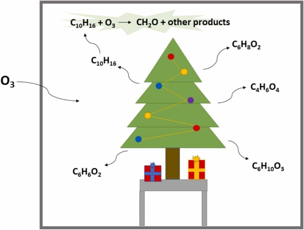 Какие ЛОС выделяла пихта при воздействии озона / © Indoor Environments