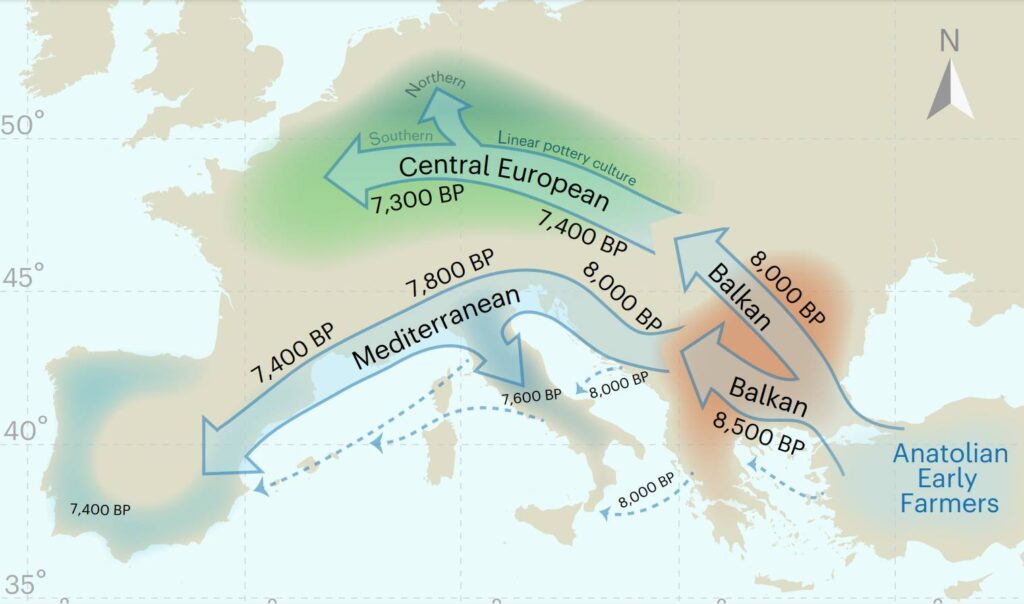 На карте показаны два основных маршрута миграции из Анатолии в Европу в раннем неолите / © Samantha L. Cox et al.