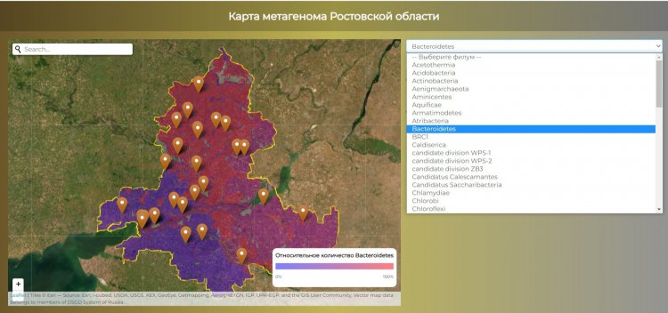 Веб-приложение донских ученых позволяет отображать пространственную и количественную информацию о метагеноме, размещенную в почвенной базе данных ЮФУ. Данные о почвенных свойствах, показателях их качества и безопасности, а также о биологических свойствах почв, включая метагеномные данные, актуализируются по мере пополнения новой информацией. Источник справки и иллюстрации: ЮФУ