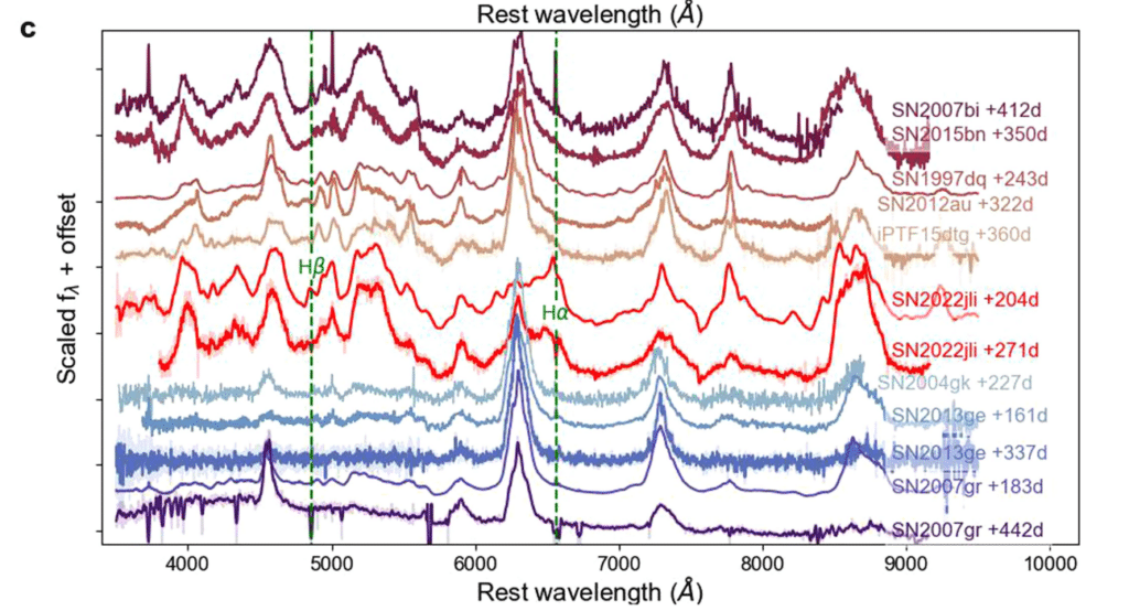 © Ping Chen et al.