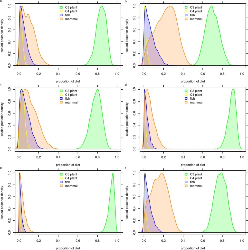 Результаты байесовской модели смешивания для шести наиболее подходящих моделей показывают, что растения составляли большую часть рациона андских охотников-собирателей / © Jennifer C. Chen et al.
