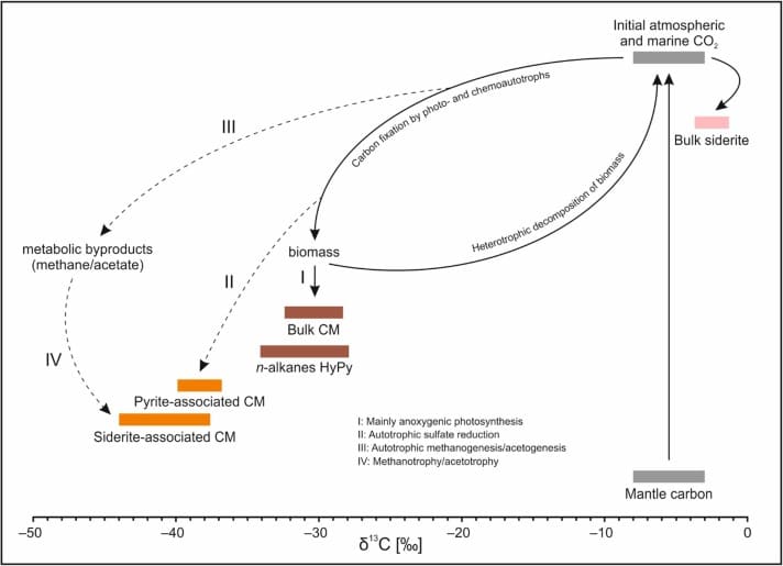 Схематическая компиляция данных по изотопам углерода и предполагаемых процессов углеродного цикла / © M. Reinhardt et al, Precambrian Research (2024)