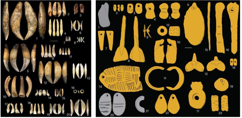 Личные украшения граветтского периода / © Jack Baker et al.