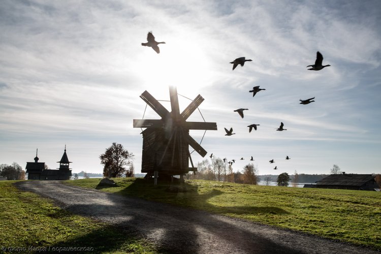 Мельница на острове Кижи, Карелия. Фото: Игорь Георгиевский / КарНЦ РАН